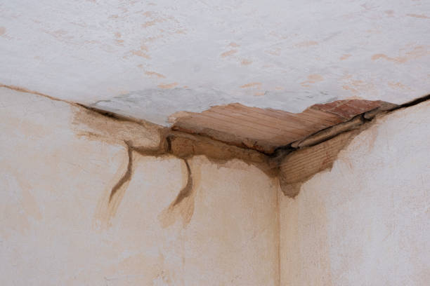 Best Carpet water damage restoration  in Valley Hill, NC