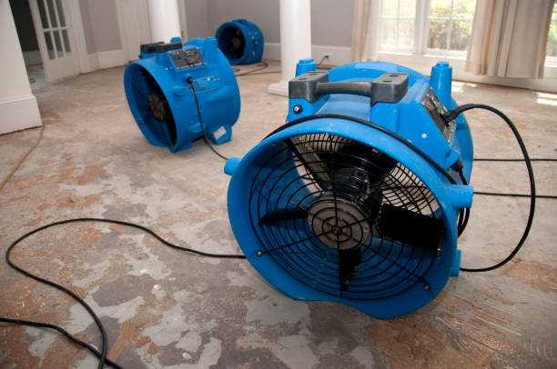 Best Professional water damage repair  in Valley Hill, NC