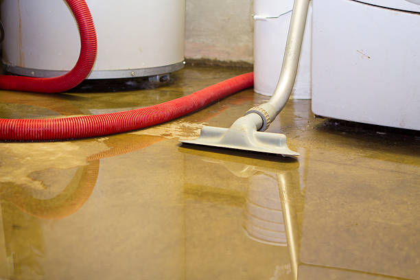 Best Water damage mitigation services  in Valley Hill, NC